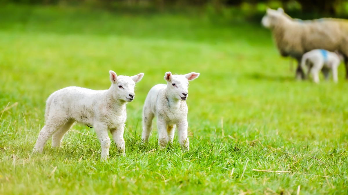 “There is a certain kind of magic at this time of year” 