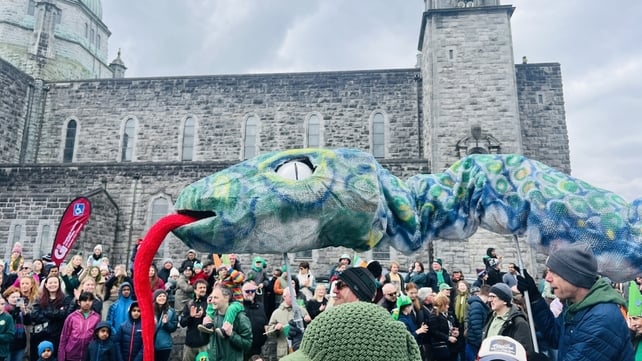 It seems St Patrick didn't banish all the snakes from Ireland as one joined the celebrations in Galway