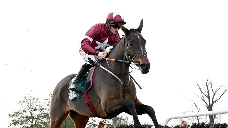 Speculatrix was a winner at Wexford