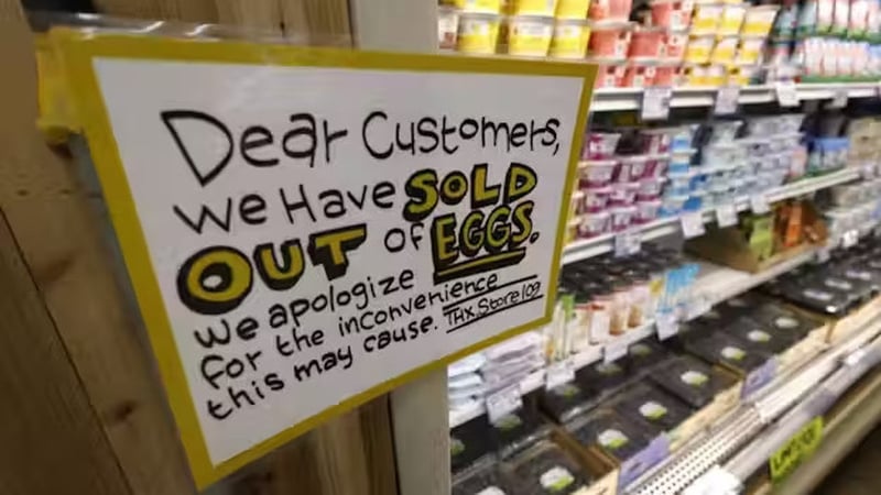 There have been widespread egg shortages across the US. Photo: John G Mabanglo/EPA