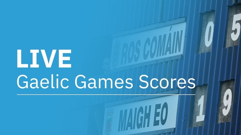 Camogie League Division 2A final: Kerry v Meath latest score