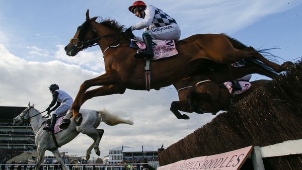Banbridge disappointed in the Gold Cup