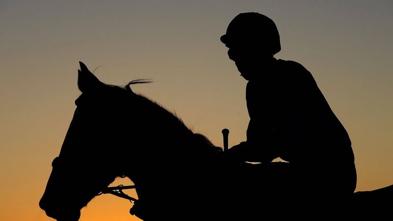 The Irish Stallion Farms EBF Median Auction Maiden was part of an eight-race card at Dundalk