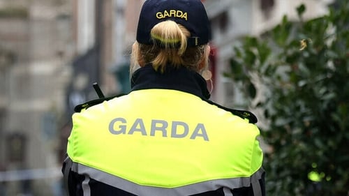 Gardaí said the gang is involved in drug trafficking, money laundering, serious crime and feuding with rival organised crime groups (File image)