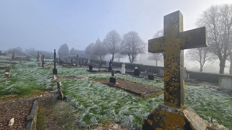 The remains were discovered in Annyalla Cemetery, Co Monaghan