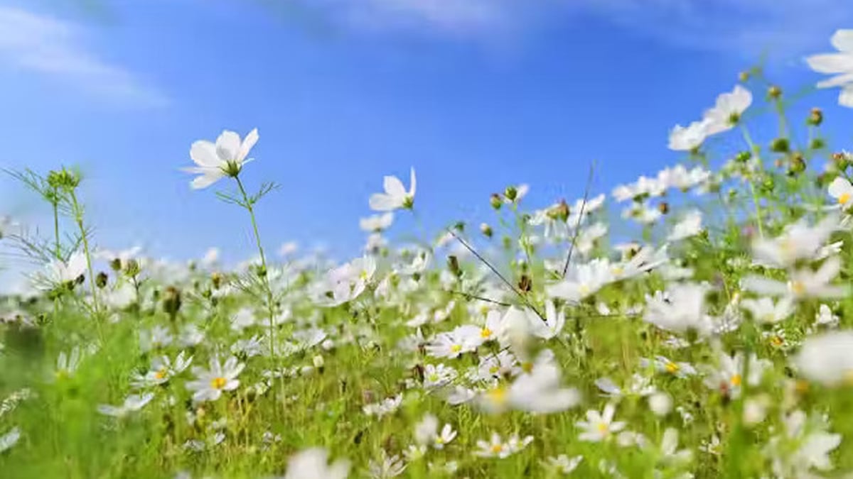 Meteorological Spring begins this weekend