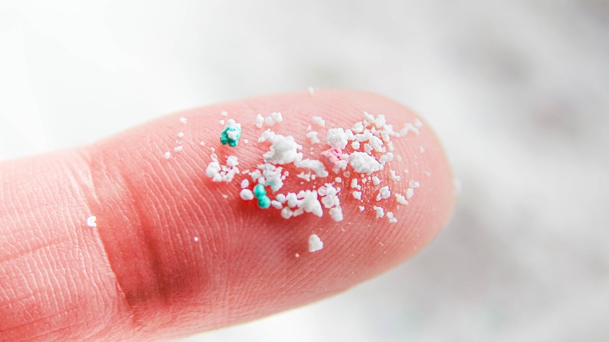 Groundbreaking research from Trinity into microplastics' effect on our brains
