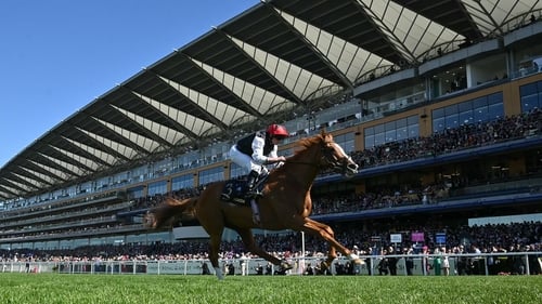 A stayer he may be, but Kyprios is not devoid of acceleration, recording impressive closing sectionals in a number of his victories