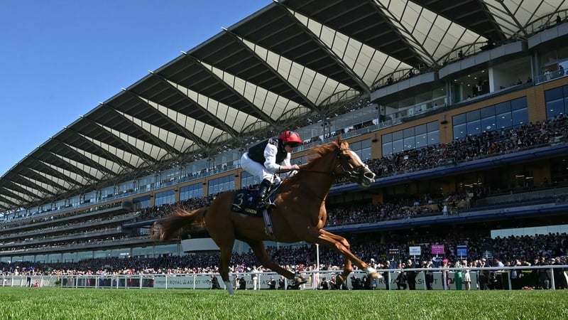 Ryan Moore and Kyprios coming home to win the 2024 Ascot Gold Cup