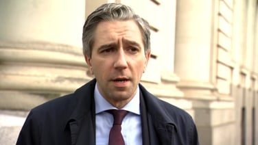 Tánaiste accuses opposition parties of ‘misleading’ public on speaking rights issue