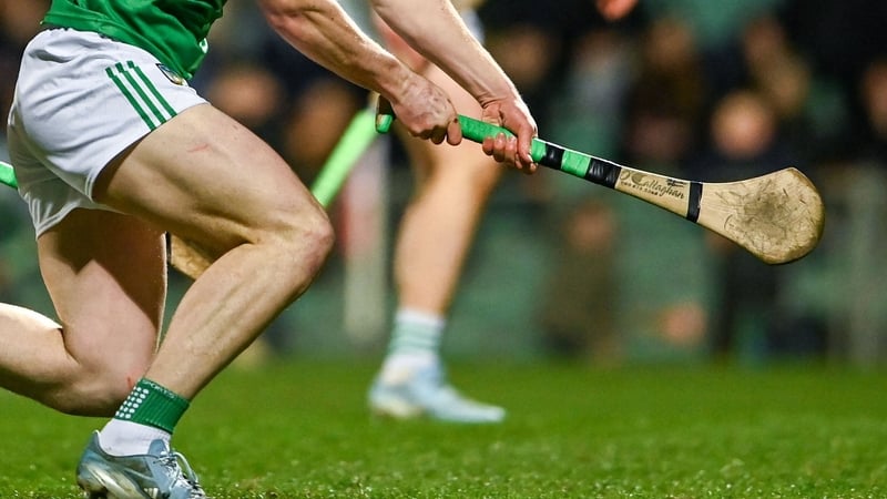 It was a great start to the championship for Limerick