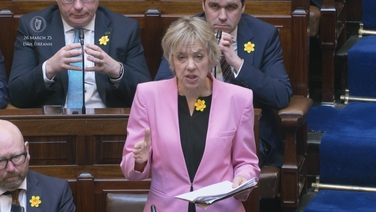 'Government rammed through a scheme to create new sham opposition' - Bacik