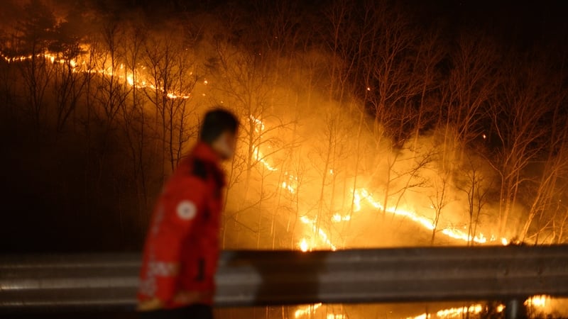 A member of the Korea Forest Service observes a wildfire from the side of a road in Andong