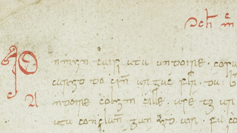 Satire amounted to far more than mere mockery in medieval and early modern Ireland: It could rob a person of their reputation and status.