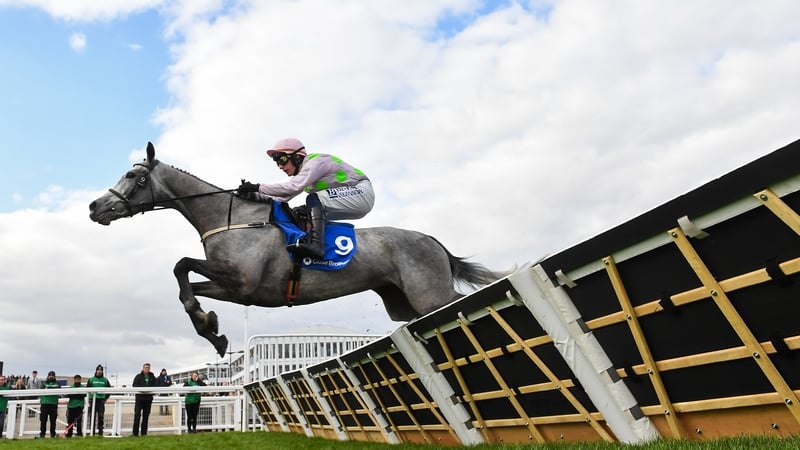 Lossiemouth could be part of a star-studded Champion Hurdle at Punchestown