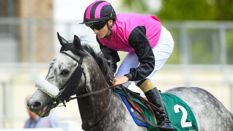 Eight of Big Gossey's 10 lifetime wins have come at Irish Flat racing HQ