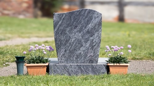 Ireland currently does not have an independent statutory child death review mechanism