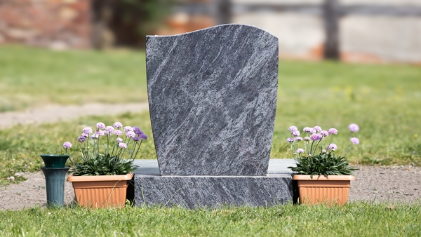 Ireland currently does not have an independent statutory child death review mechanism