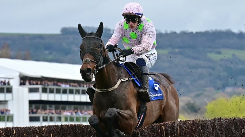 Gaelic Warrior goes in the Irish Gold Cup Chase