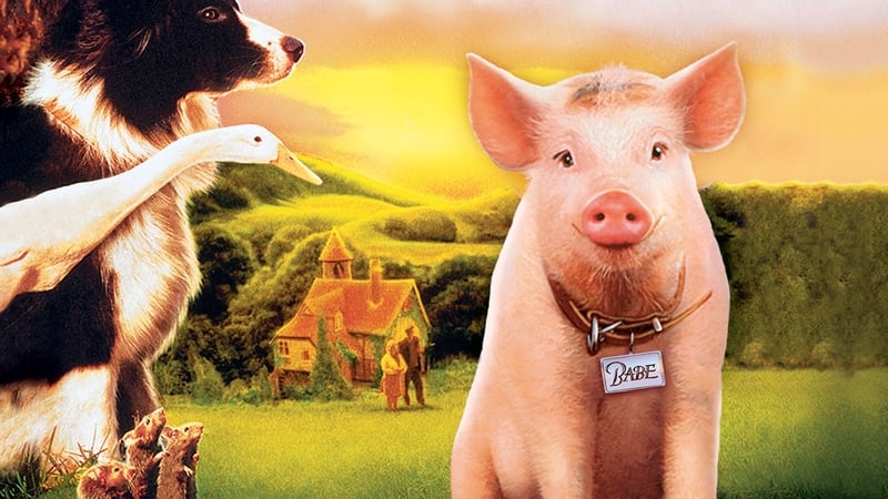 Babe: 'It shouldn't work ... but it really, really does.'