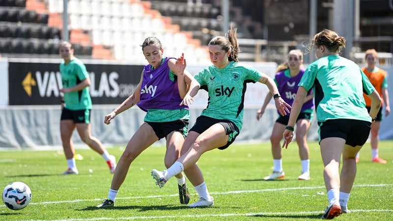 Republic of Ireland players go through their paces in training