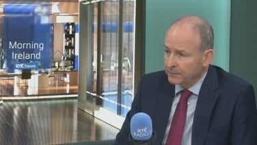 Economic 'pain' from tariffs will not be short term - Taoiseach