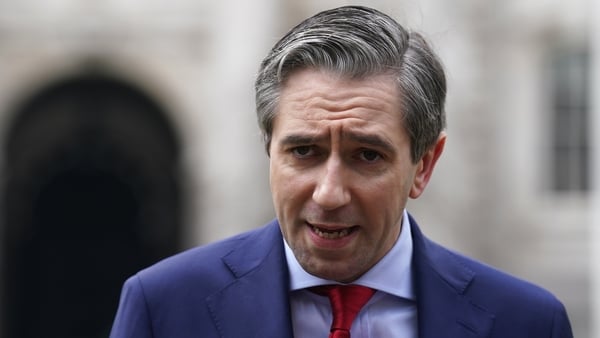 Simon Harris said he did not think the appointment of Brendan McDonagh 'was a particularly good idea'
