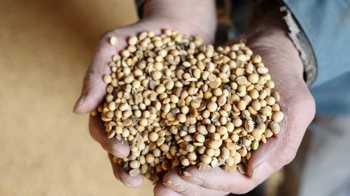 Soybeans, oilseeds and certain grains were a key US export to China, amounting to €12.23 billion last year, US trade data showed