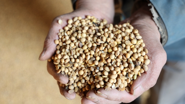 Soybeans, oilseeds and certain grains were a key US export to China, amounting to €12.23 billion last year, US trade data showed