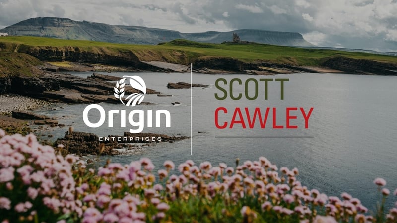 Scott Cawley has been providing ecological survey and impact assessment services to the planning and development sectors here for over 20 years