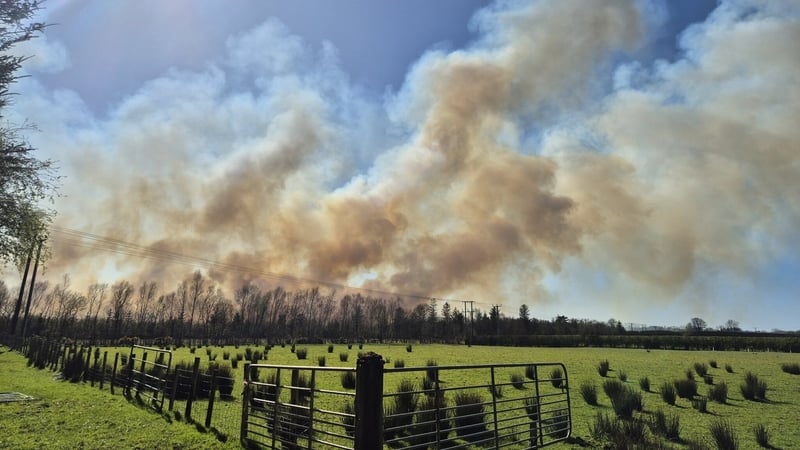 A large gorse fire at Garry Wood near Ballymoney earlier this week (Credit: @WrecklessGamer)