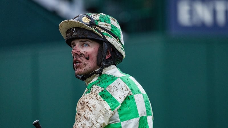 Micheal Nolan received a 10-day ban following his ride on Celebre D'Allen