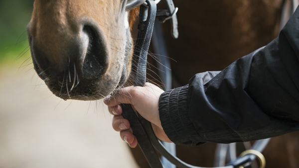 (Stock image) The redevelopment is to include two new equine barns that will provide for 24 stable units in each.
