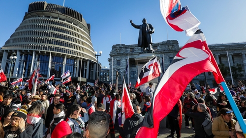 More than 35,000 demonstrators poured into the capital Wellington last year to protest against the bill