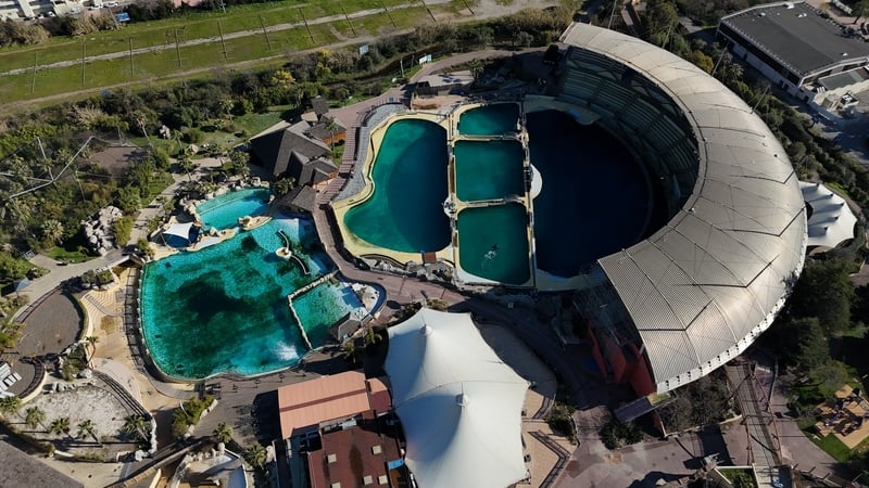 A 2021 French animal welfare law and falling attendances forced the Marineland park in Antibes to close this year