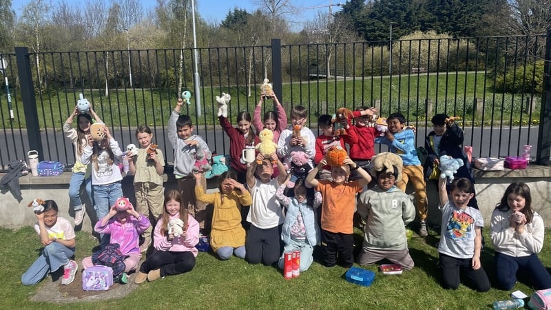 It's always sunny in Stepaside!