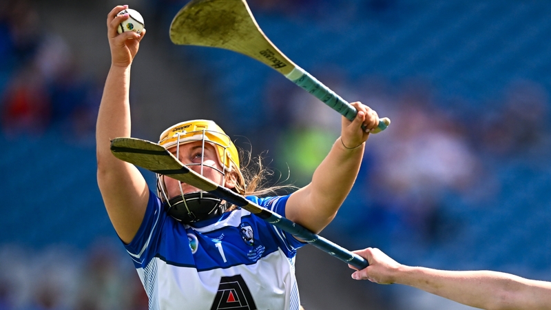 Aedin Lowry was a calming presence in the Laois goal as always