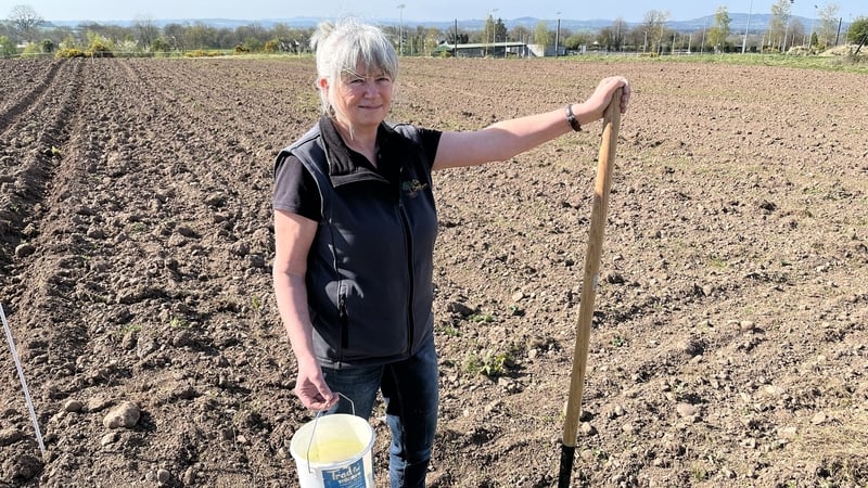 Marian Clarke, manager of Doon Social Farm in Co Limerick, said soil depletion has been an issue for some time