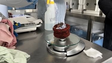 ‘Baby bird room’ ready for abandoned, orphaned nestlings 