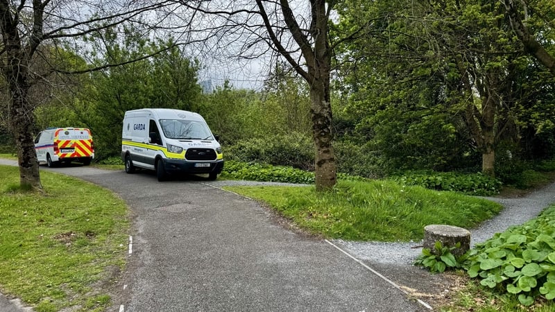 A garda search team along with search dogs and members of the Civil Defence are searching a stretch of wetlands on the Condell Road in Limerick