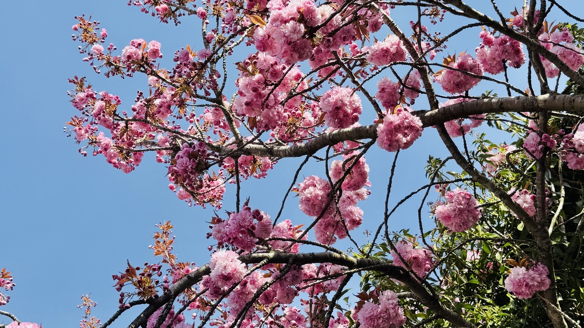 Spring is here!