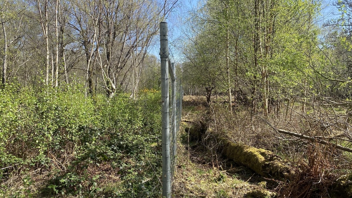 Are we doing enough to protect our National Parks?