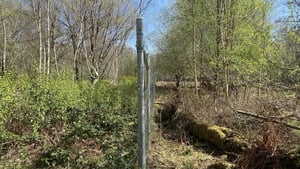 Are we doing enough to protect our National Parks? show image