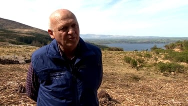 Decades-long battle to clear rhododendron in Killarney