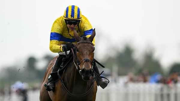 Spindleberry, with Danny Mullins up, on his way to winning The WillowWarm Gold Cup