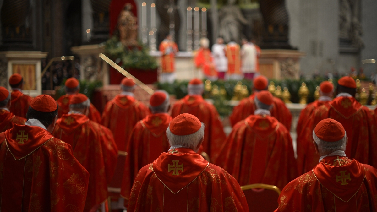 As the papal conclave approaches, who is Francis's likely successor?