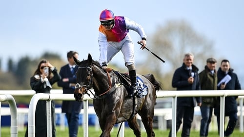 The progressive Haiti Couleurs has won four of his six outings this season