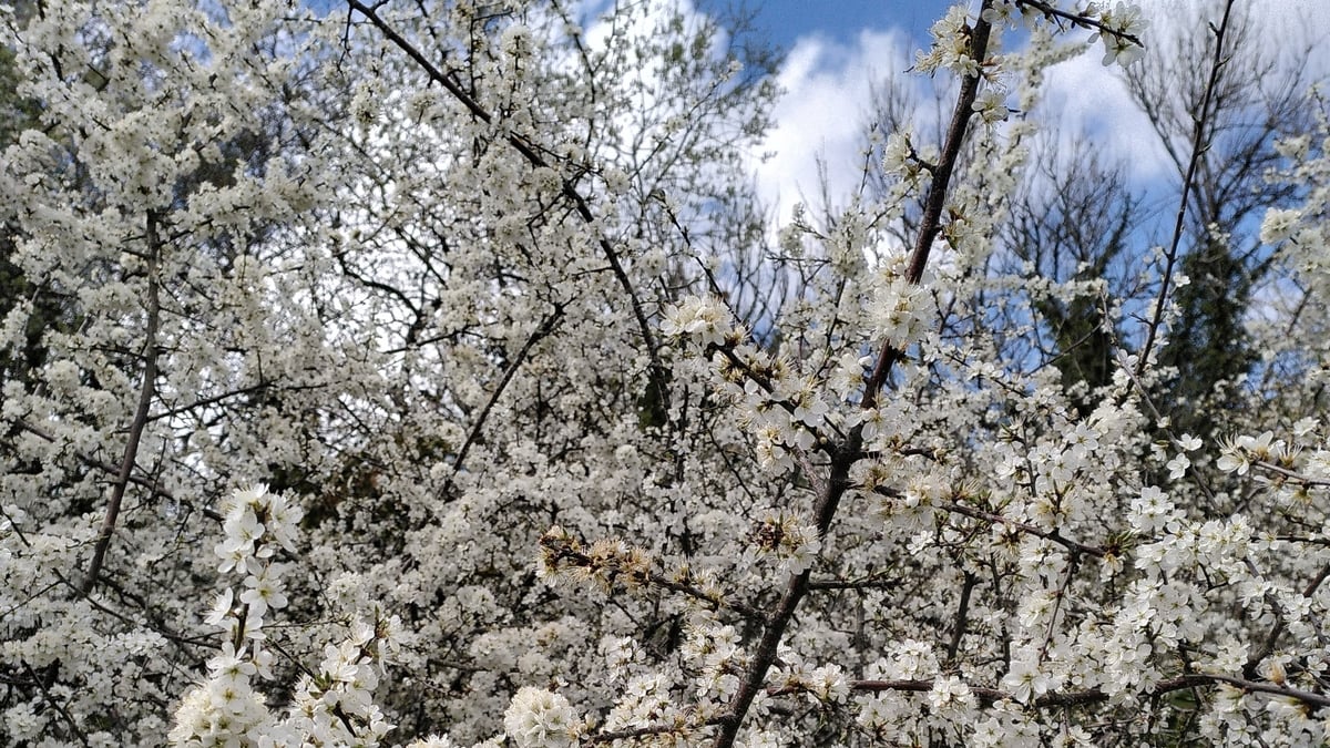 Ambient Orbit Monday 21 April 2025