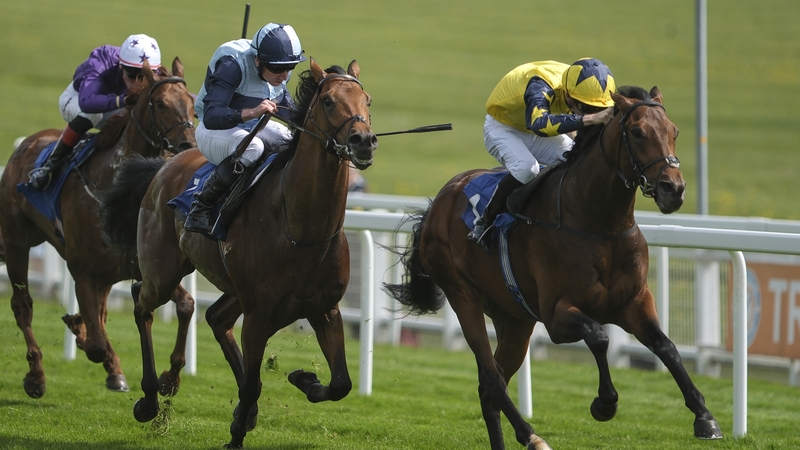 Sea Scout prevailed as Trinity College lugged left down the camber at Epsom in the closing stages