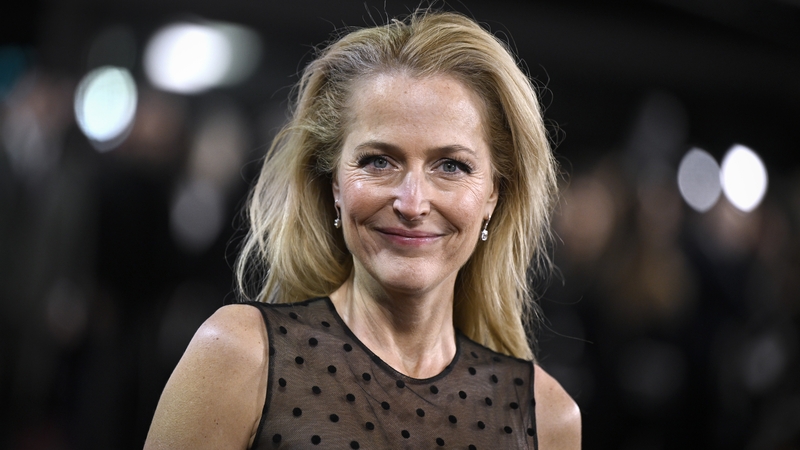 Gillian Anderson - "This was just the beginning of a much bigger conversation"